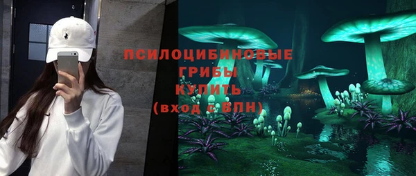 винт Бородино